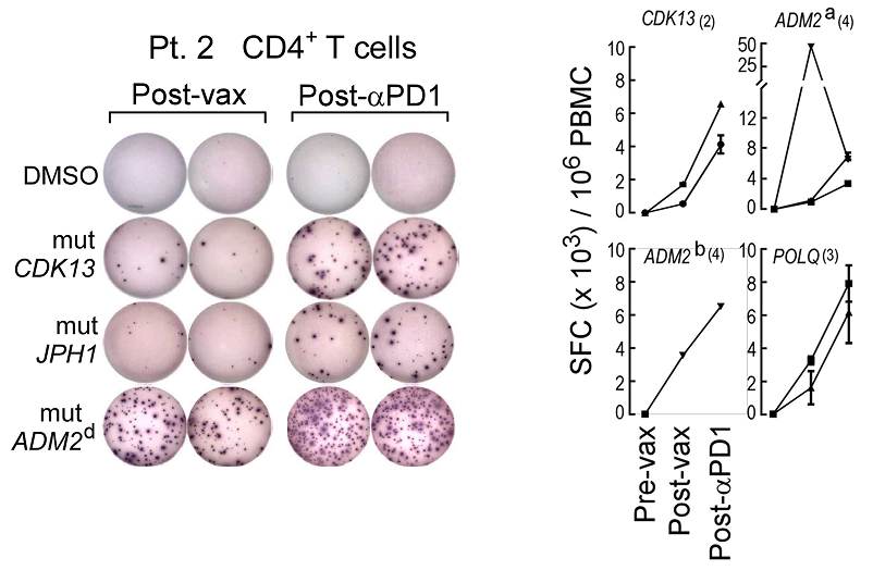 antigen-specific graph 2